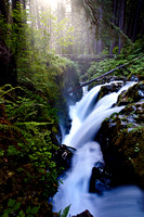 IMG_9854-Edit