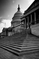 IMG_0881