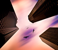 IMG_8367-Edit